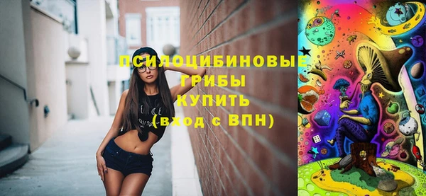 твердый Вязники